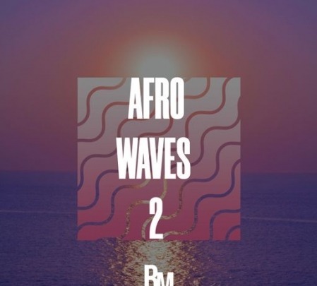 HOOKSHOW Afro Waves 2 WAV